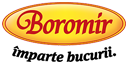 www.boromir.ro